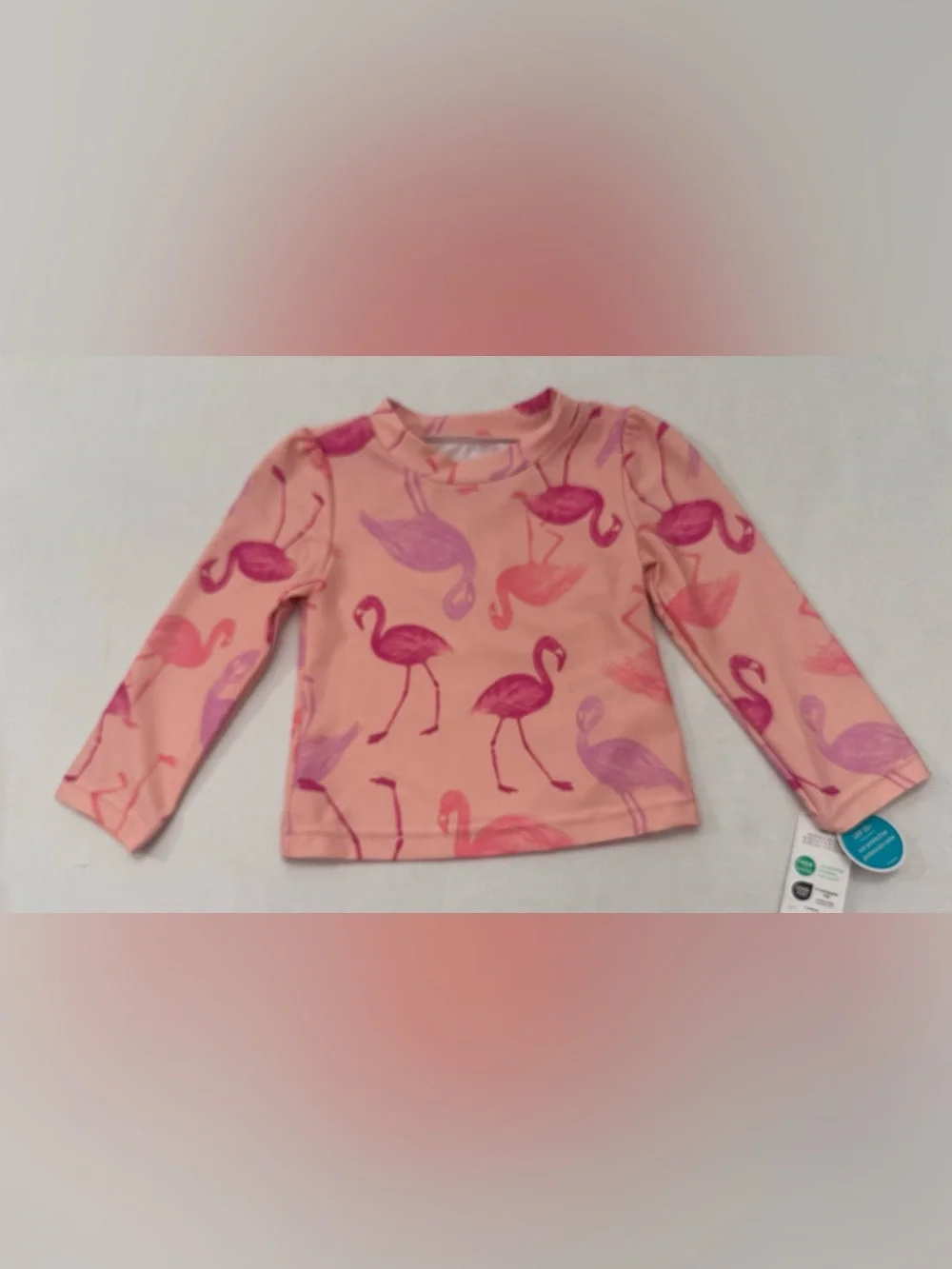 Carter's Child of Mine Toddler Girl Rash Guard 2 Piece Swimsuit Set Size 18 Mths